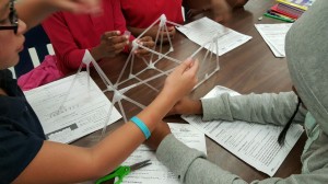 Broward Estates-STEM19